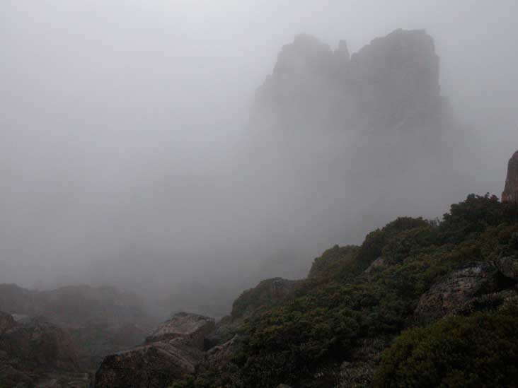 DSCN2890.JPG