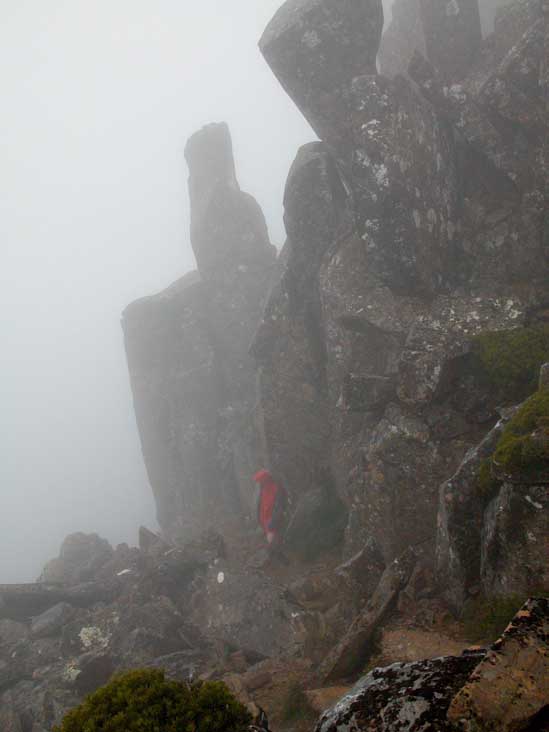 DSCN2906.JPG