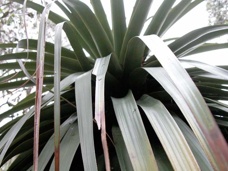 DSCN2915.JPG