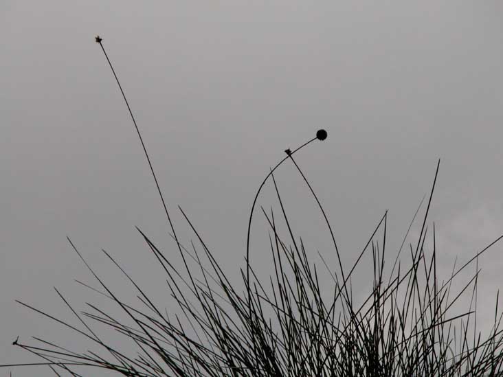 DSCN2926.JPG
