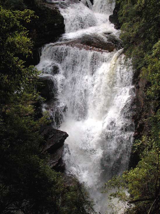 DSCN2956.JPG