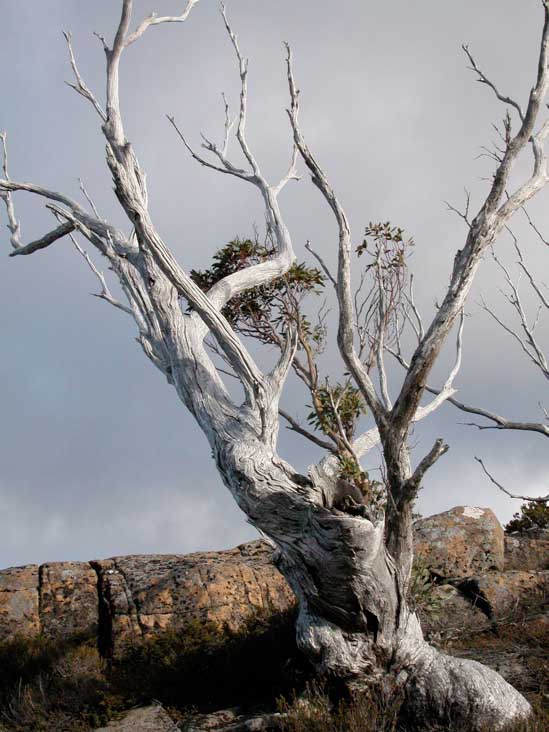 DSCN2976.JPG