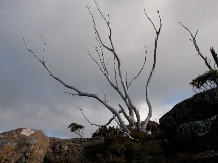 DSCN2977.JPG