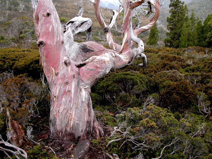 DSCN2853.JPG