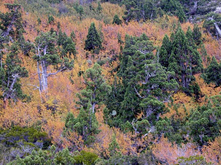 DSCN3094.JPG