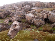 DSCN2889.JPG