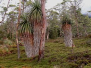 DSCN2903.JPG