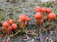 DSCN2912.JPG