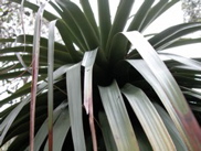 DSCN2915.JPG