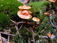 DSCN2917.JPG