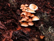 DSCN2923.JPG