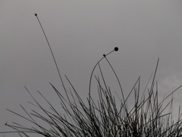 DSCN2926.JPG