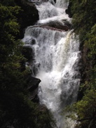 DSCN2956.JPG