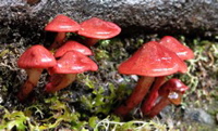 DSCN2960.JPG