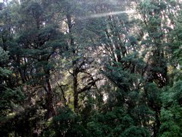 DSCN2970.JPG