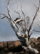 DSCN2976.JPG