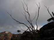 DSCN2977.JPG