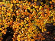 DSCN2998.JPG