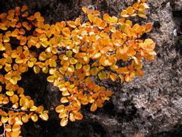 DSCN2999.JPG
