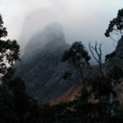 DSCN3021.JPG