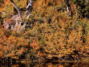 DSCN3032.JPG