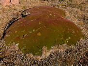 DSCN3043.JPG