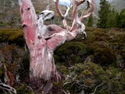 DSCN2853.JPG