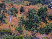 DSCN3094.JPG