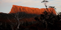 DSCN3113.JPG