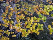 DSCN3120.JPG