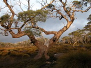 DSCN2860.JPG