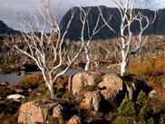 DSCN3126.JPG