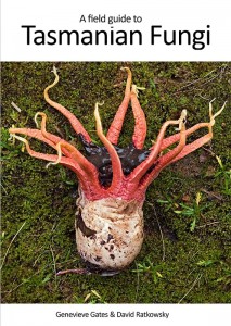 9764201_orig