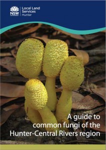 HunterFungiGuide