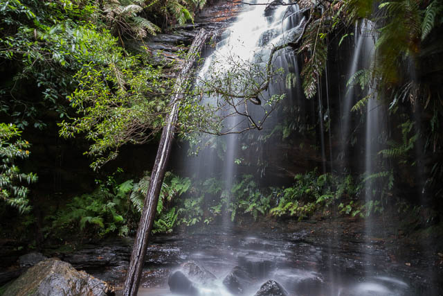 Junction Falls (Lawson Creek)