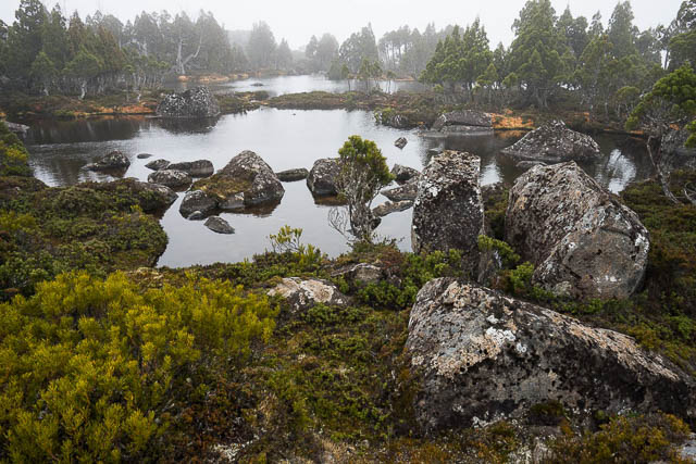 The incredibly beautiful Central Plateau of Tasmania - alpine tarns surrounded with Pencil Pines
