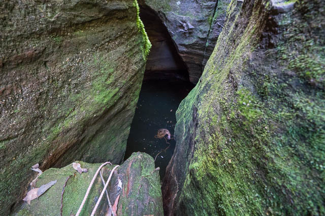 Looking down the first abseil in the canyon