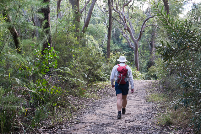 Devlins Creek Trail