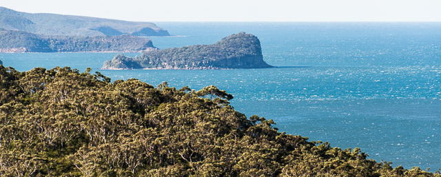 Lion Island from Taffys Rock