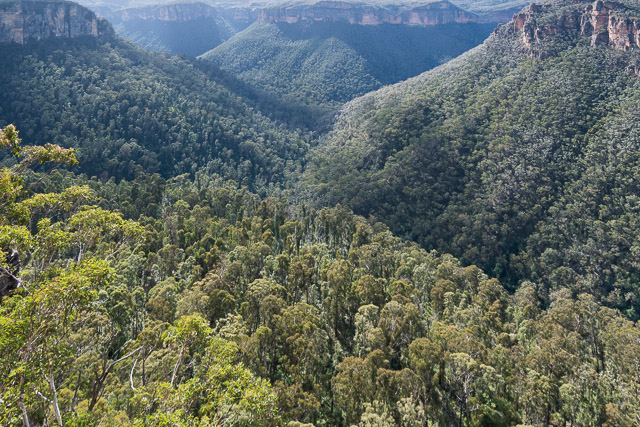 The Grose Valley from Victoria Falls Lookout