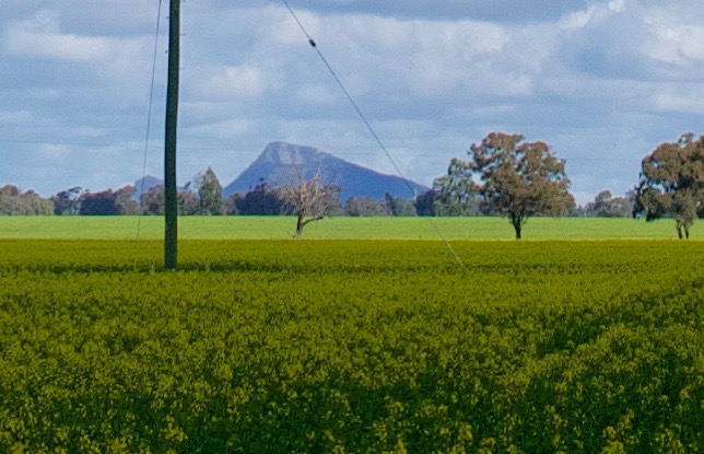 The Rock viewed from the Sturt Highway