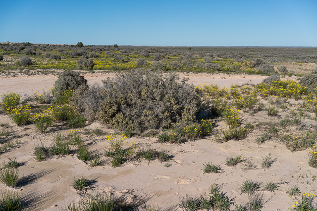 Lake Mungo